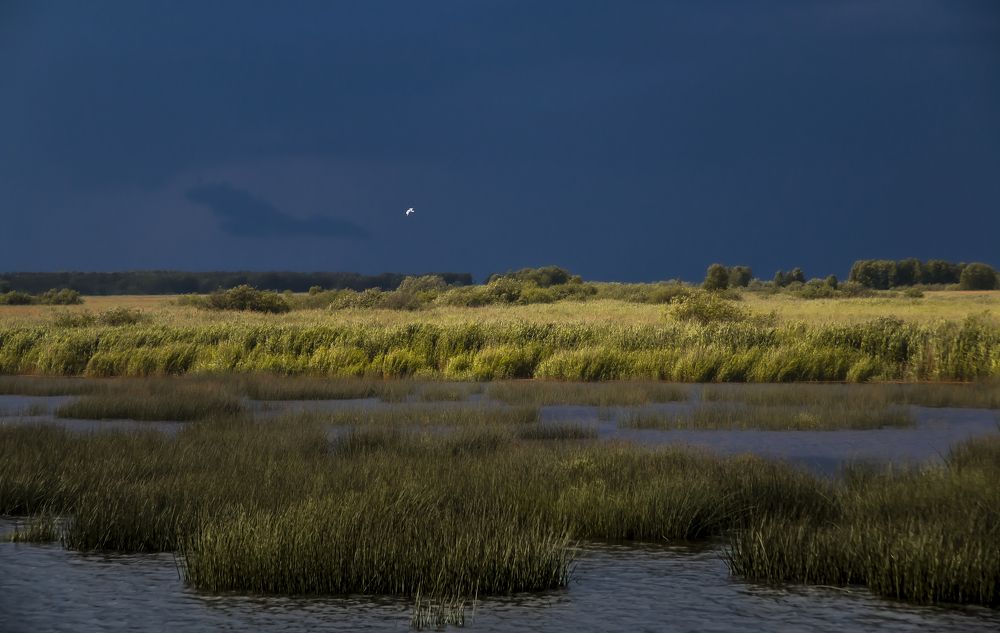 Photograph by Наталья Загайнова