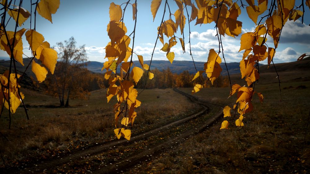 Photograph by Нияз Мирхайдаров