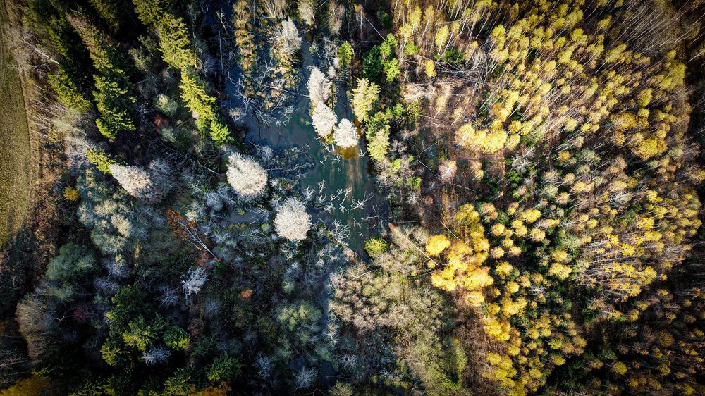 Photograph by Николай Тышкунов