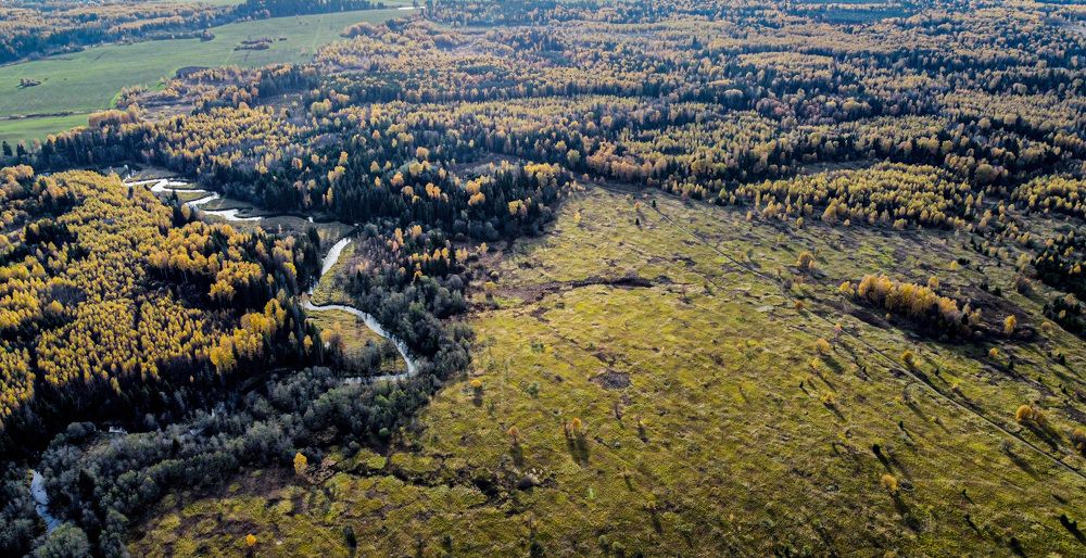 Photograph by Николай Тышкунов