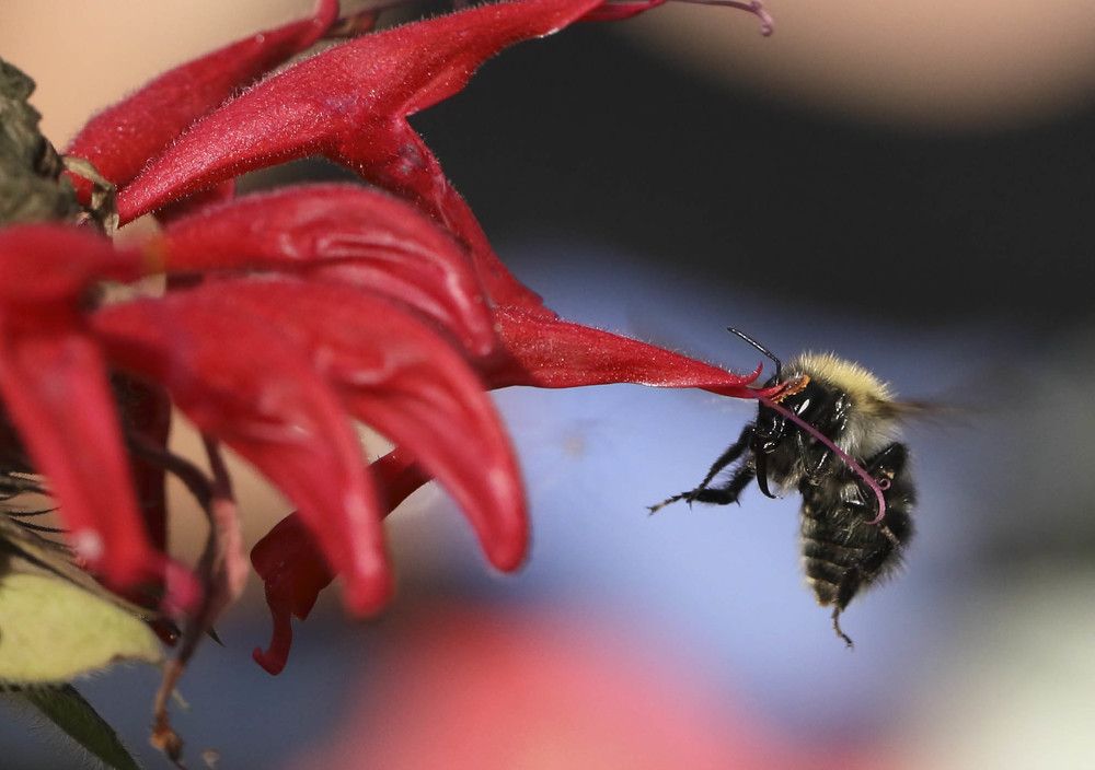 Фотография автора Павел Мартюшев