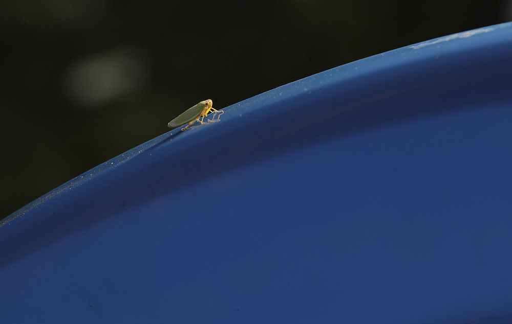 Фотография автора Павел Мартюшев