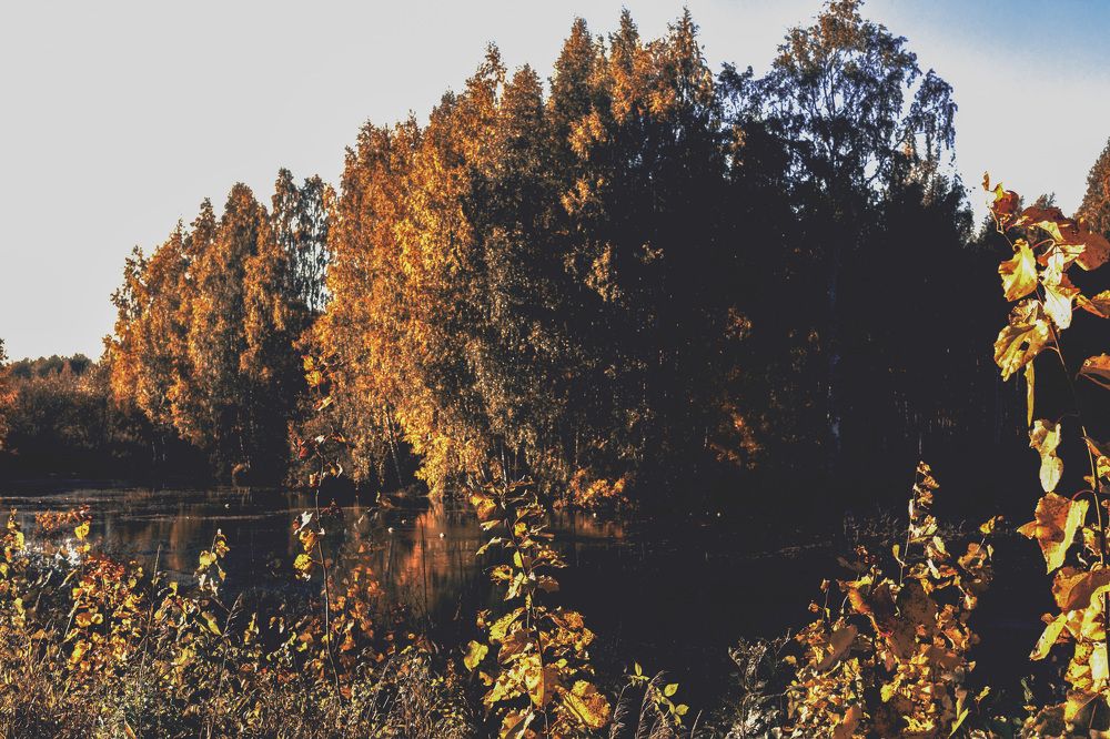 Фотография автора Екатерина