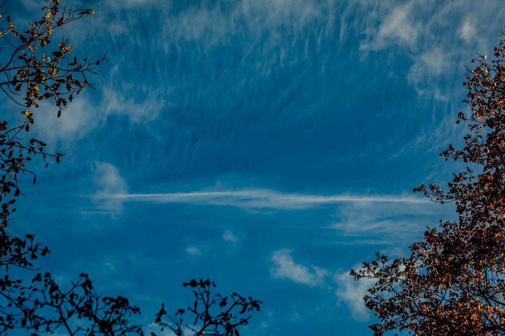 Photograph by Ольга Сафронова