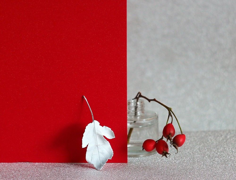 Photograph by Людмила Хрусталева*