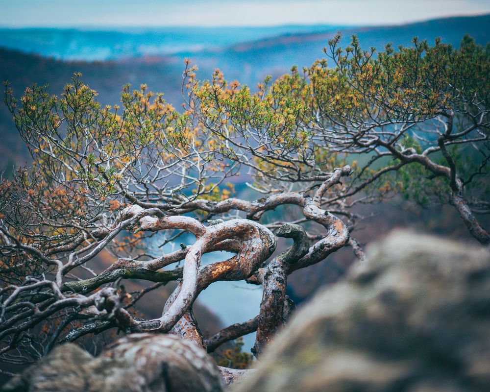 Photograph by Олег Нестеров