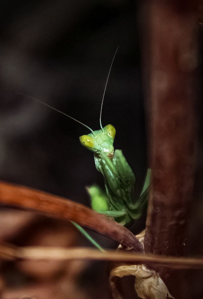 Photograph by Maria Cristina Artale