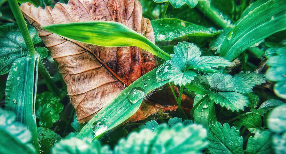 Photograph by Maria Cristina Artale