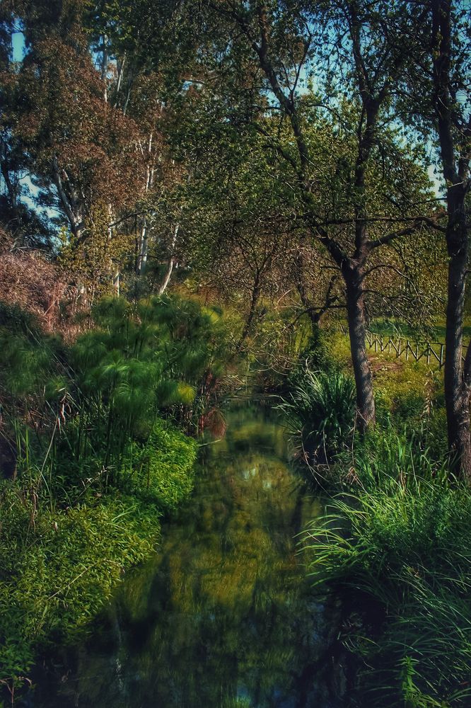 Photograph by Maria Cristina Artale