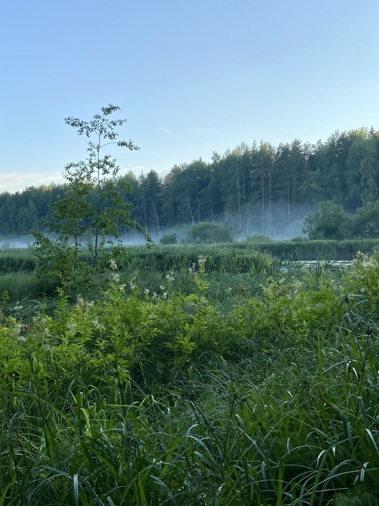 Photograph by Серегина Ирина