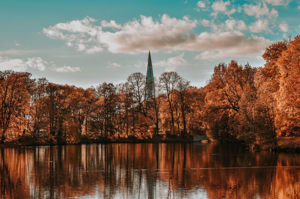 Photograph by Anna Borodina