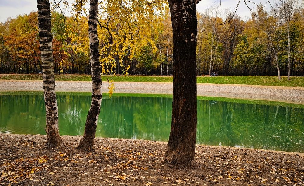 Photograph by Алина Веремеенко