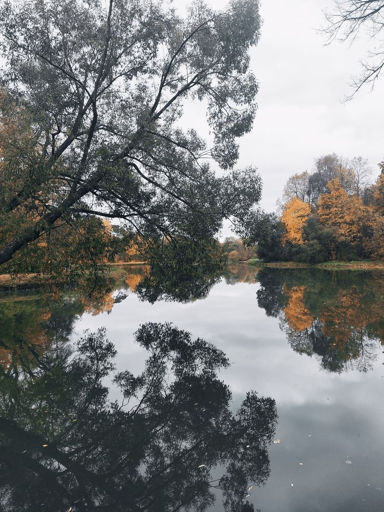 Photograph by Алексей Ларин