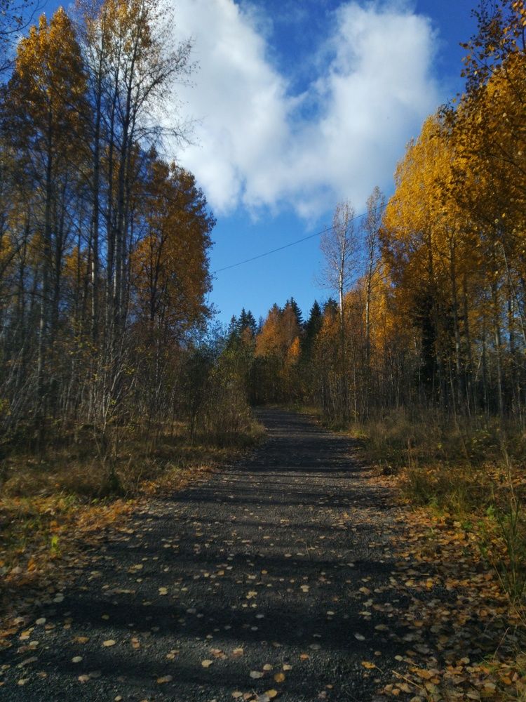 Photograph by Павел Лосев