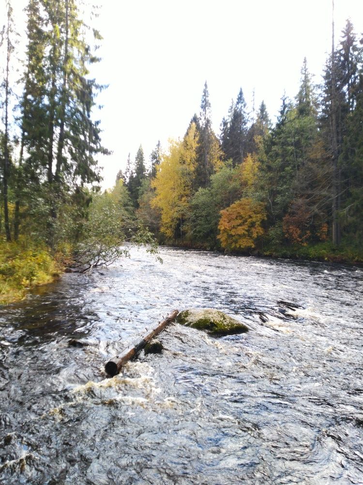 Photograph by Павел Лосев