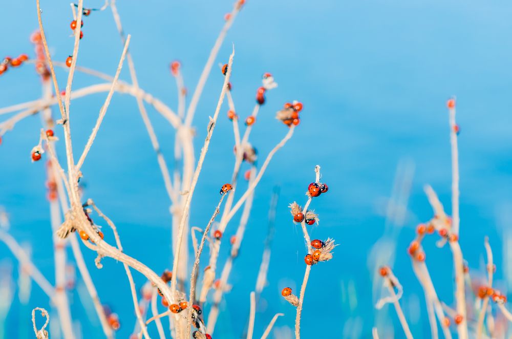 Photograph by Ольга Ильина