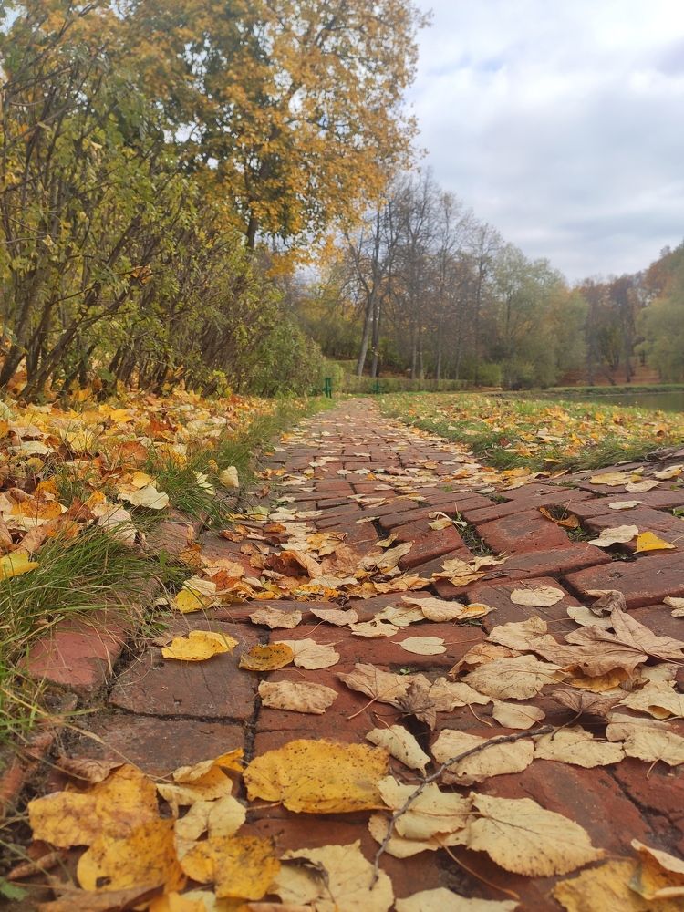 Photograph by Алексей Ларин