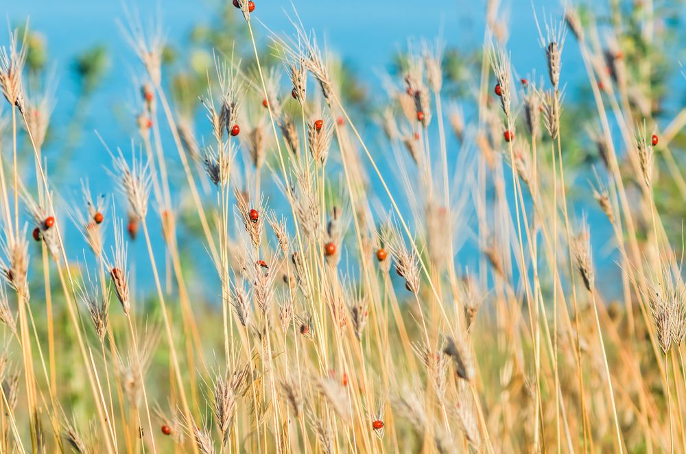 Photograph by Ольга Ильина