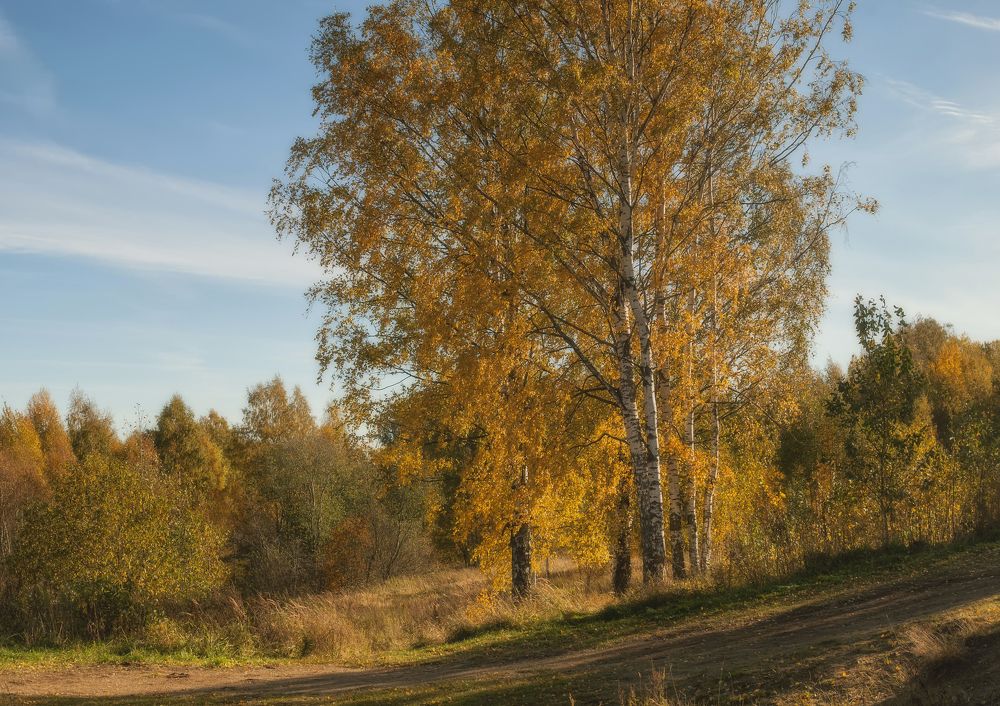 Photograph by Cергей Черныш