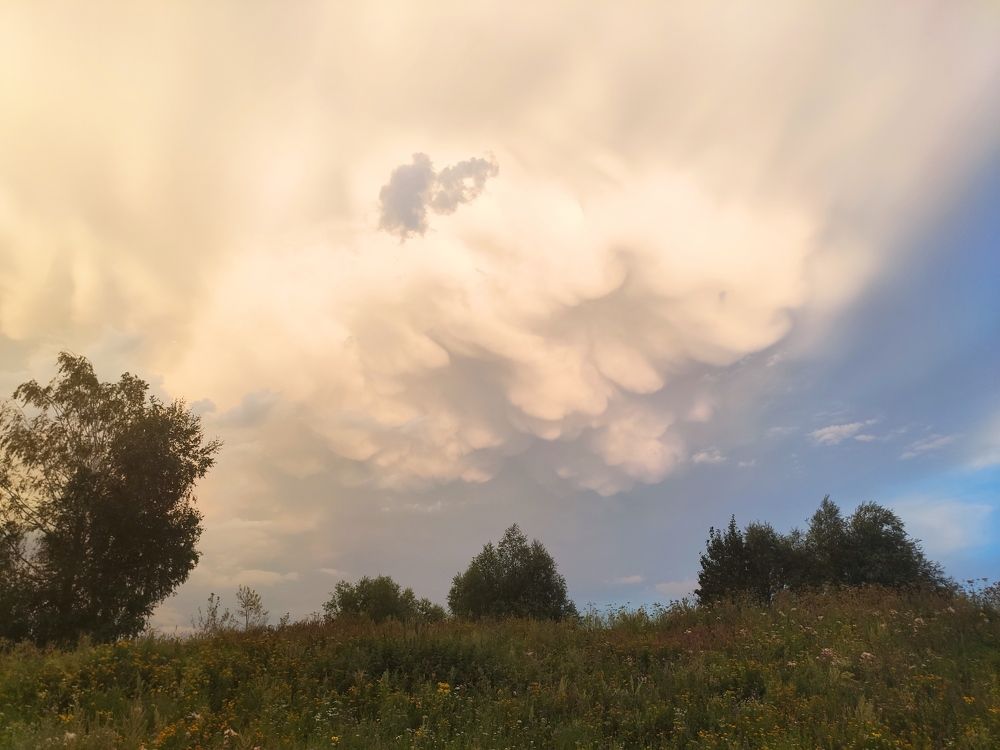 Photograph by Алексей Ларин