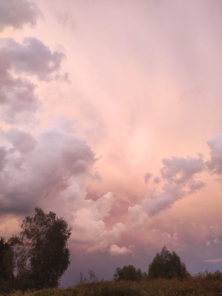 Photograph by Алексей Ларин