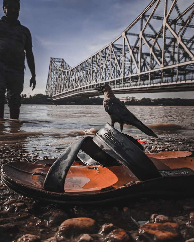 Photograph by Trishik Bose