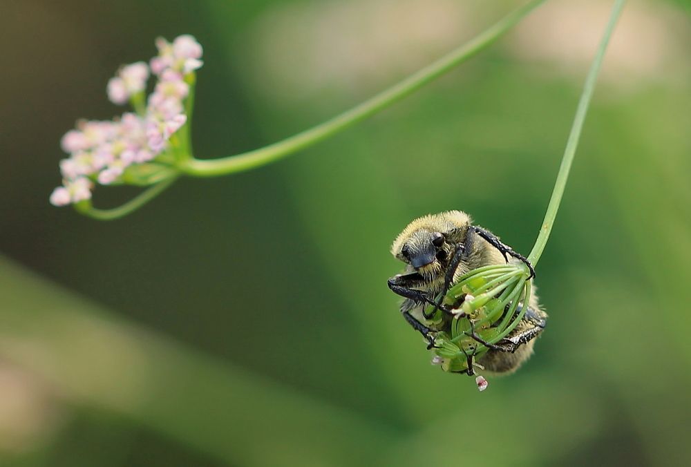 Photograph by Леунина Людмила