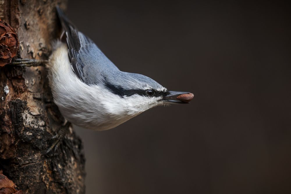 Photograph by Мария Овсечук