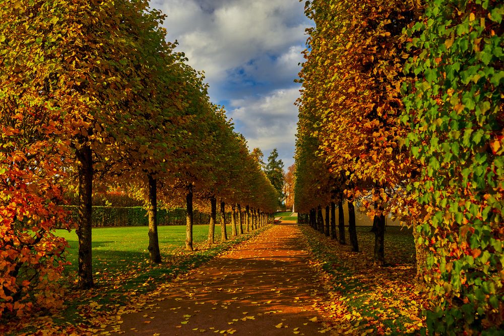 Photograph by Устинов Андрей