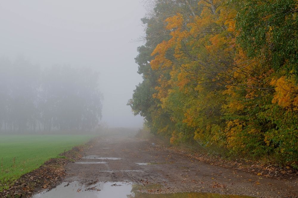 Photograph by Владимир