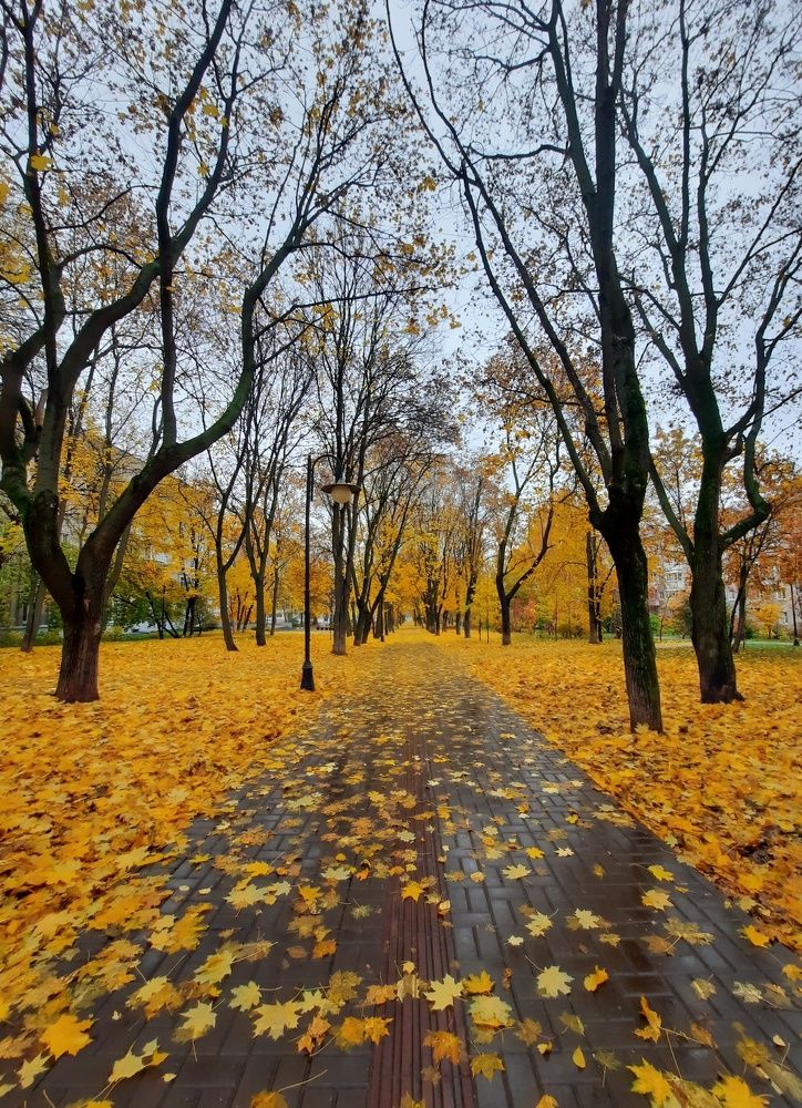 Фотография автора Ольга Кунакова