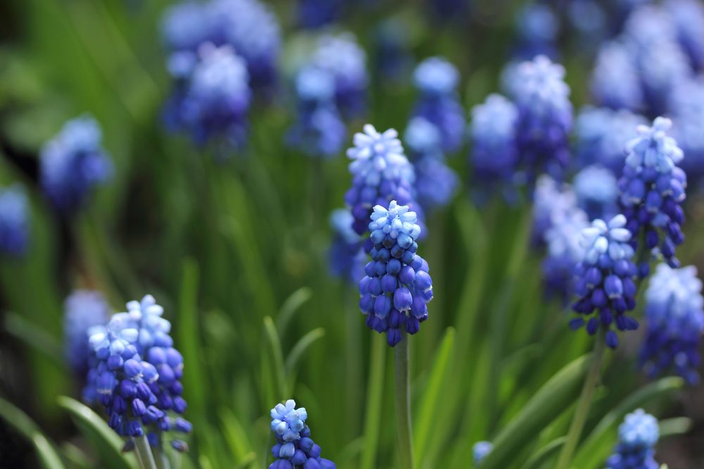 Фотография автора Кухта Мария