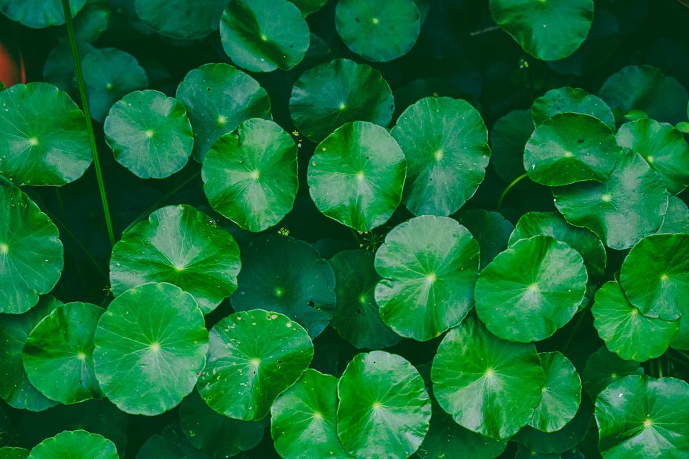 Фотография автора Karukola Puneeth