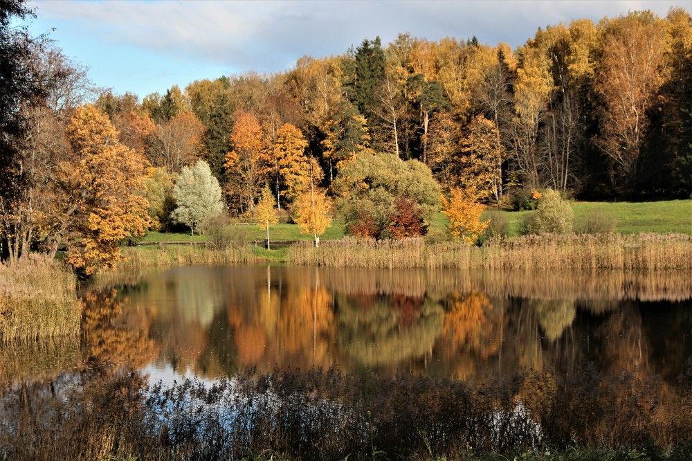 Photograph by Валентина