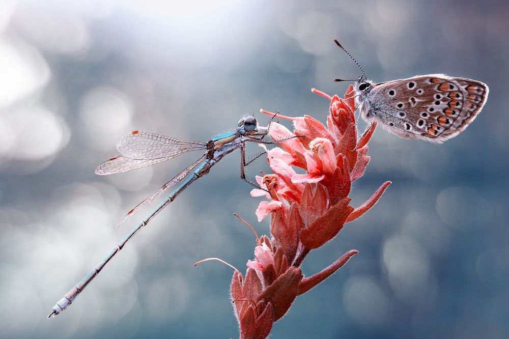 Photograph by Кузнецов Дмитрий