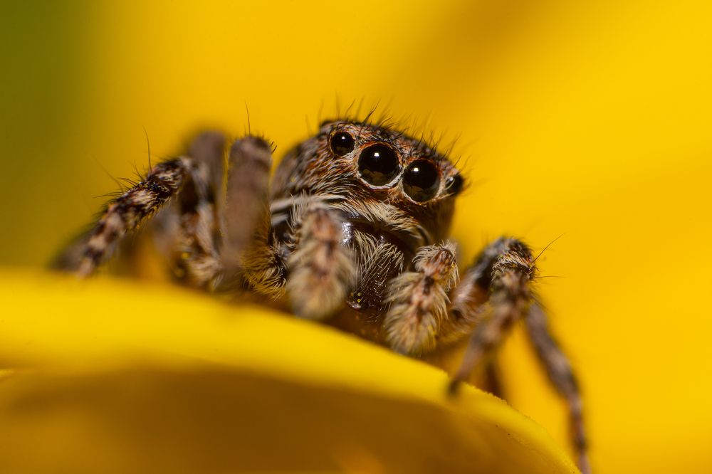 Photograph by Рустам Афлятунов