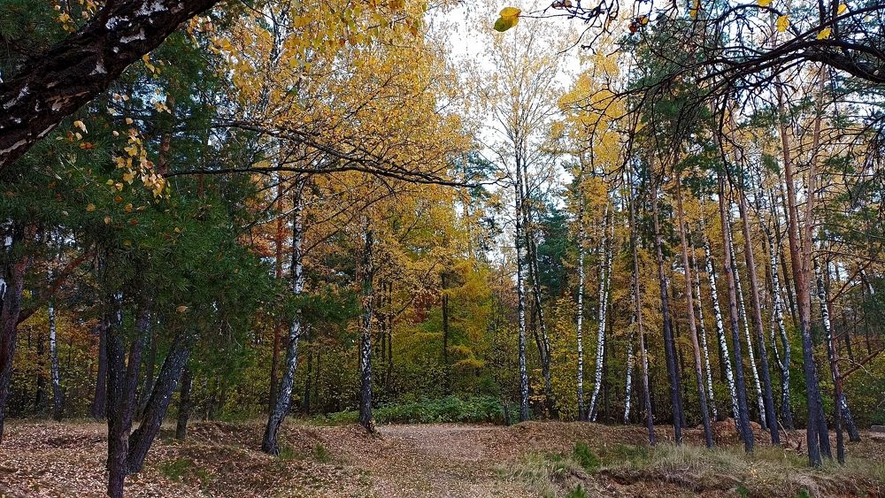 Photograph by Татьяна Третьякова