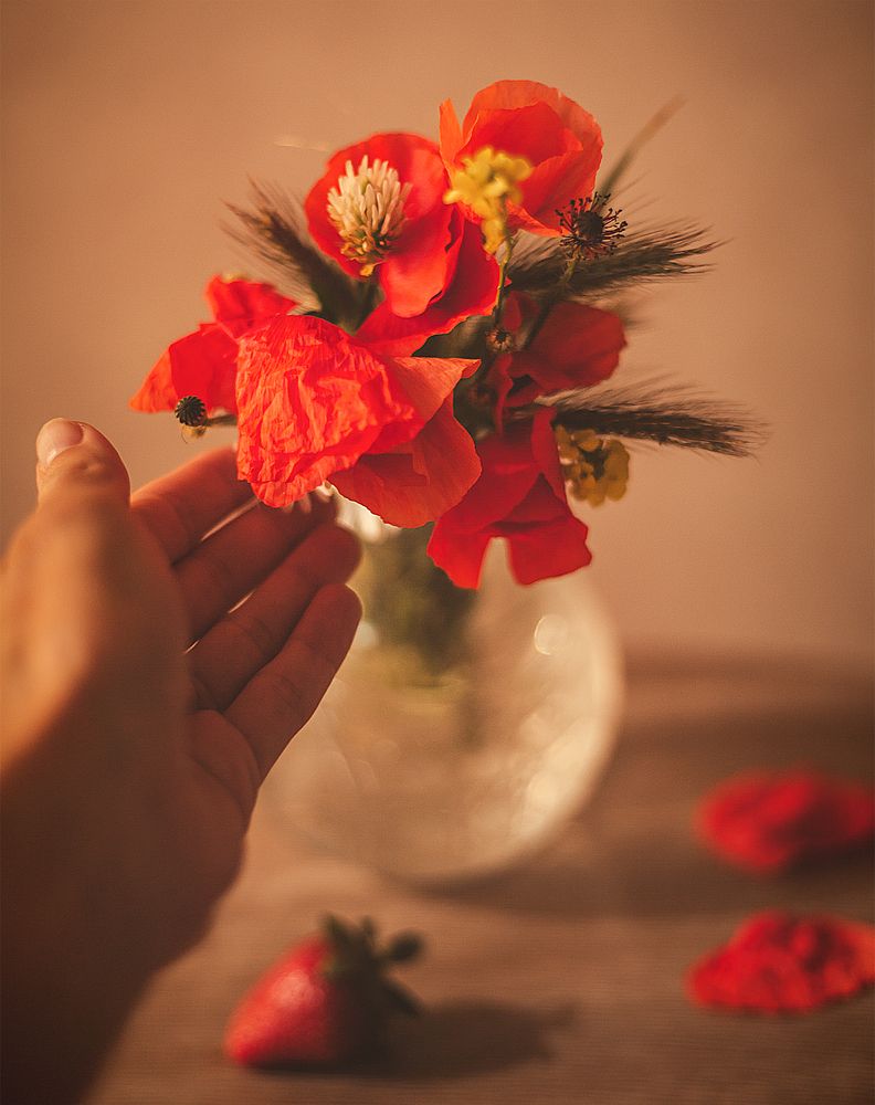 Photograph by Алена