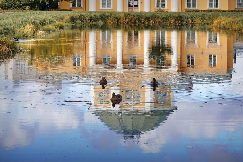 Отражение осени.