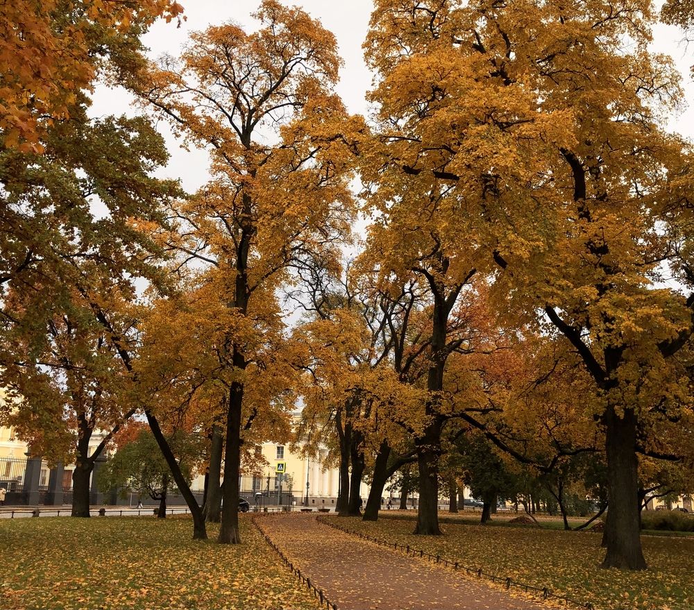 Photograph by Мария Бессмертная