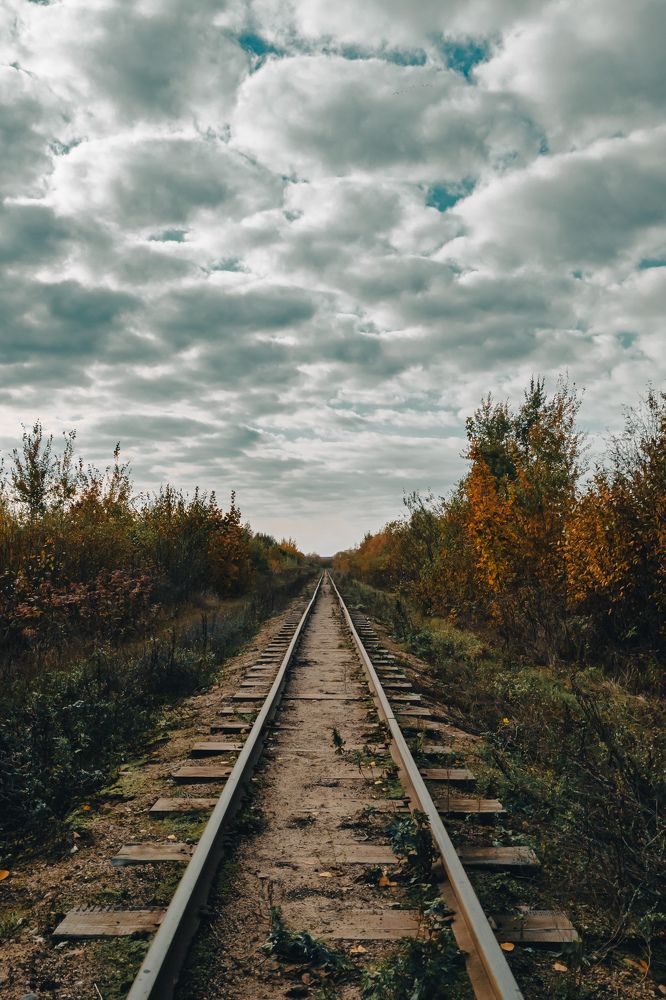 Фотография автора Геннадий Ломеко