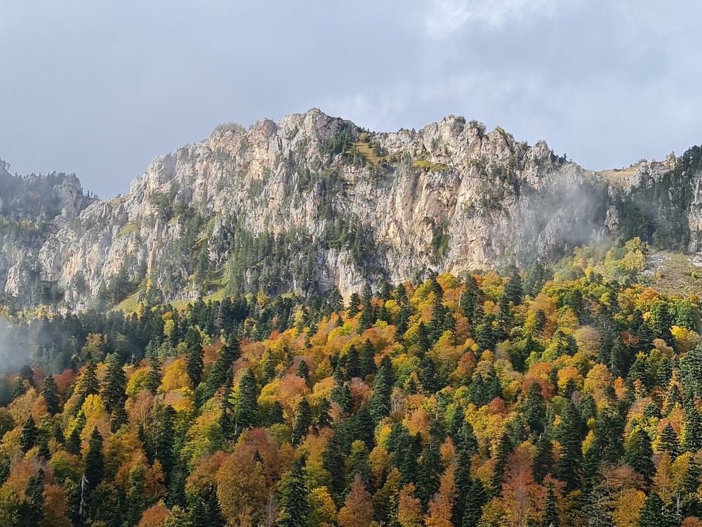 Photograph by Надежда Варфоломеева