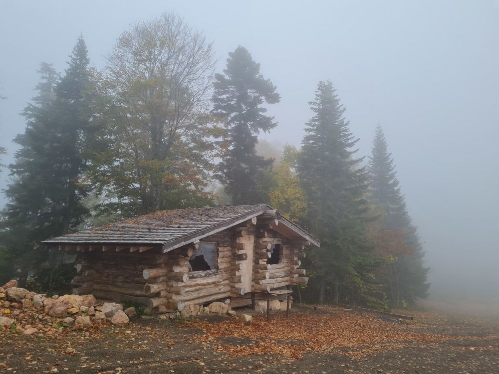Photograph by Надежда Варфоломеева