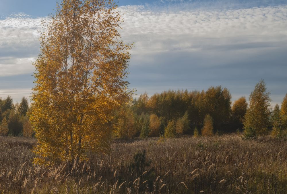 Photograph by Cергей Черныш