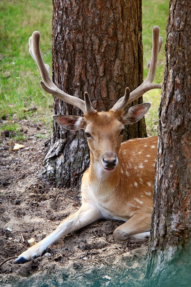Photograph by Юлия Клименко
