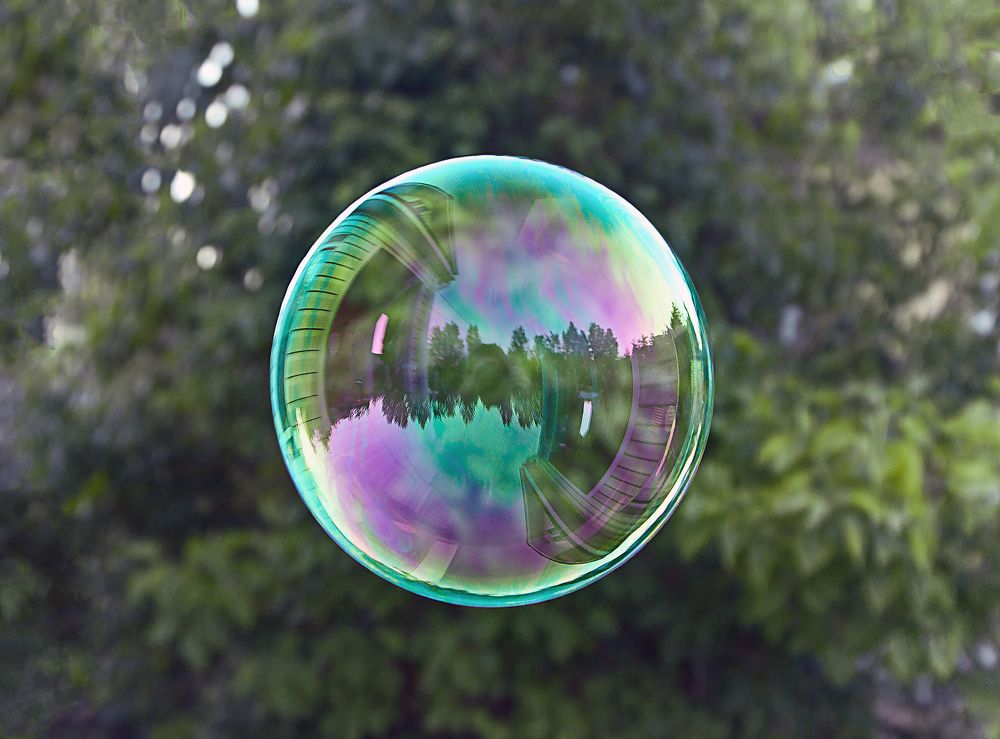 Photograph by Алина Жук