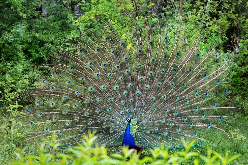 Photograph by Юлия Клименко