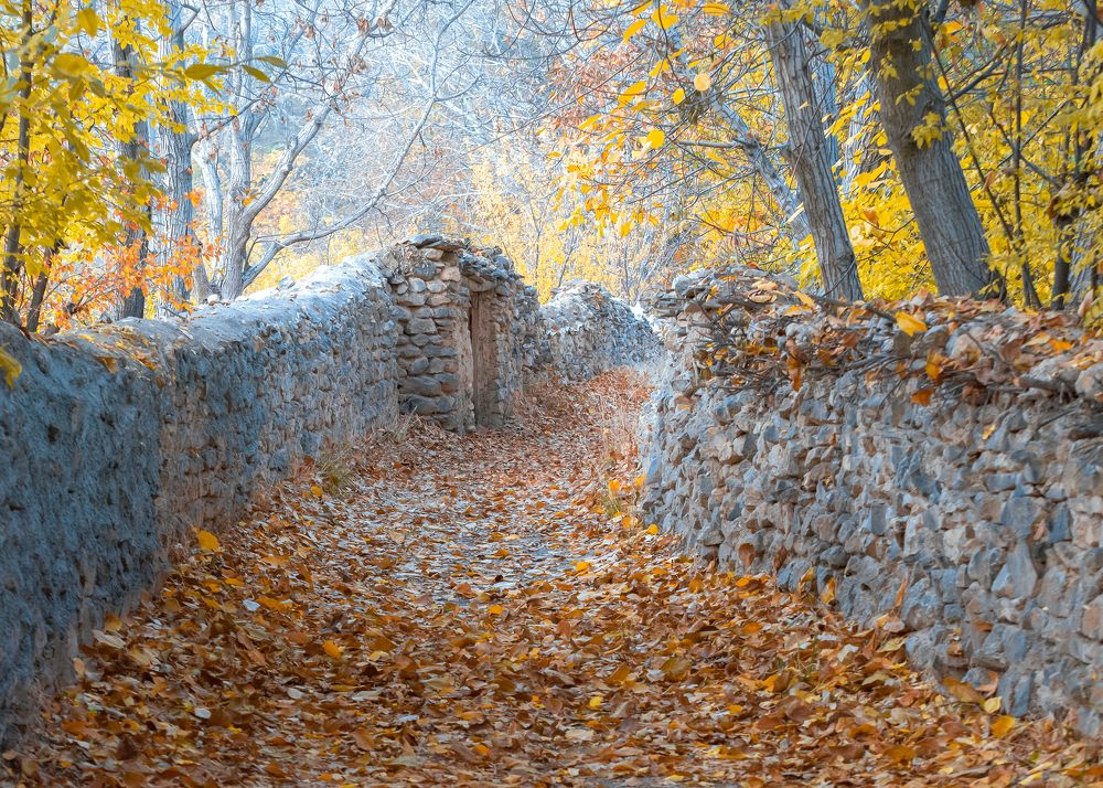 Photograph by masoud haghani