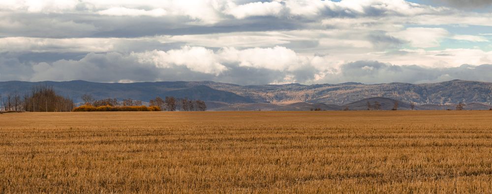 Photograph by Валерий Шорохов