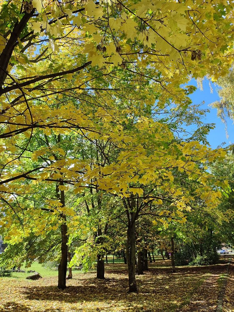 Photograph by Елена Горева